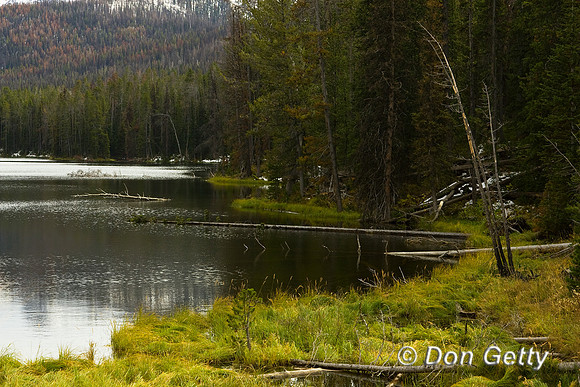 Yellowstone_R8D7856