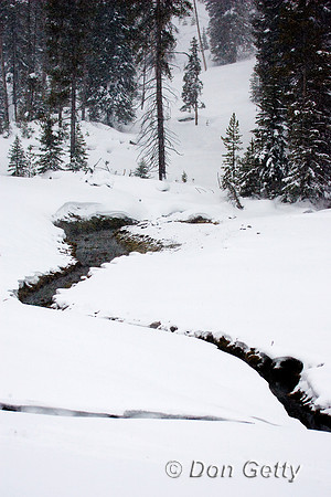 Yellowstone_R8D7817