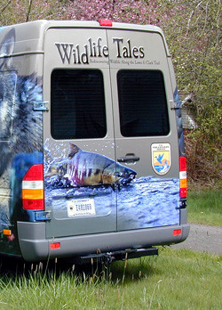 Salmon Van Adjusted