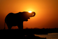 Botswana