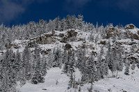 Shoshone National Forest