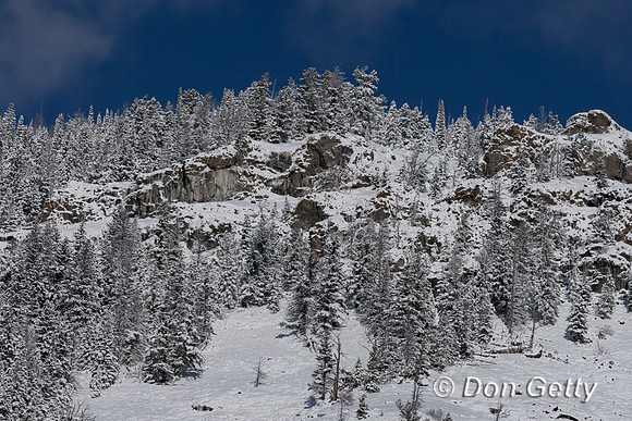 Shoshone National Forest