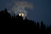 Fuul Moon