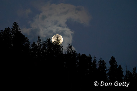 Fuul Moon