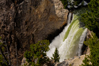Yellowstone Upper Falls
