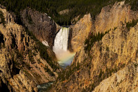 Yellowstone Lower Falls