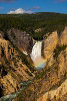Yellowstone Lower Falls