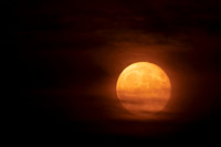 Moonrise