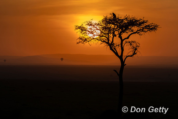 Sunrise