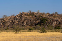 Savuti Marsh Area