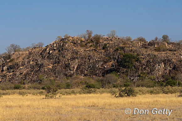Savuti Marsh Area