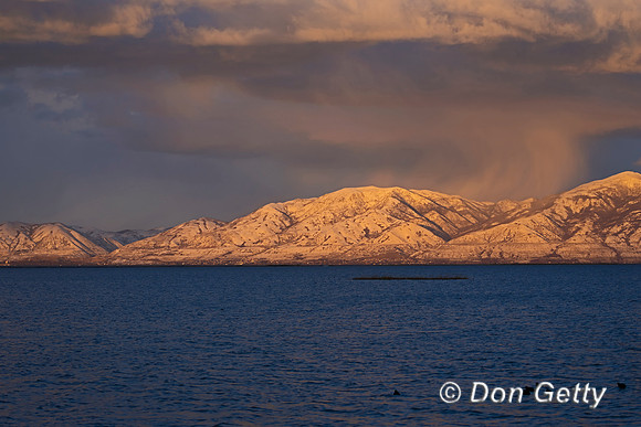 Bear River Bird Refuge