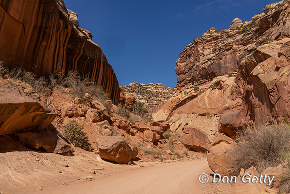 Capitol Reef National Park,