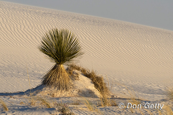White Sands National Park