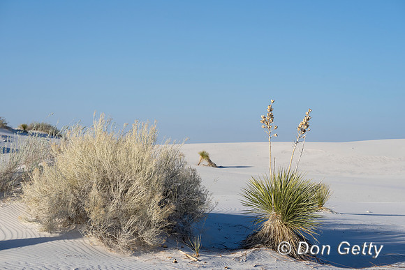 White Sands National Park