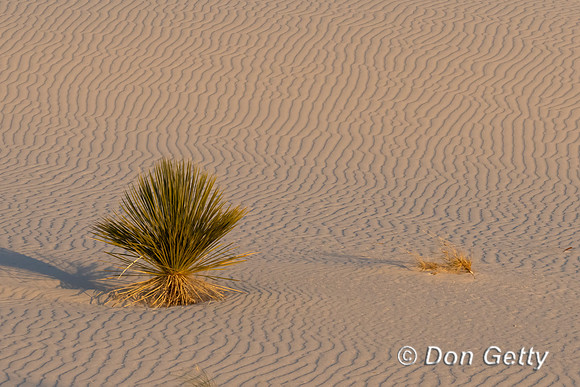 White Sands National Park