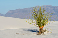 New Mexico, Around the State
