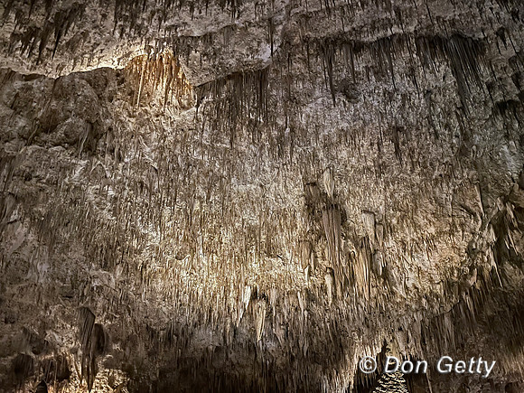 Carlsbad Caverns National Park, New Mexico