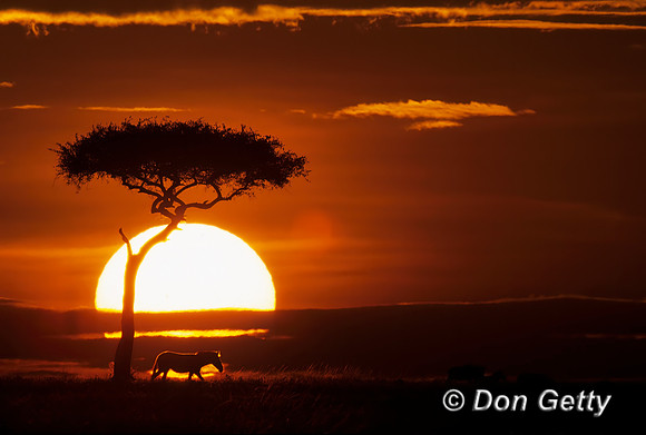 Sunrise