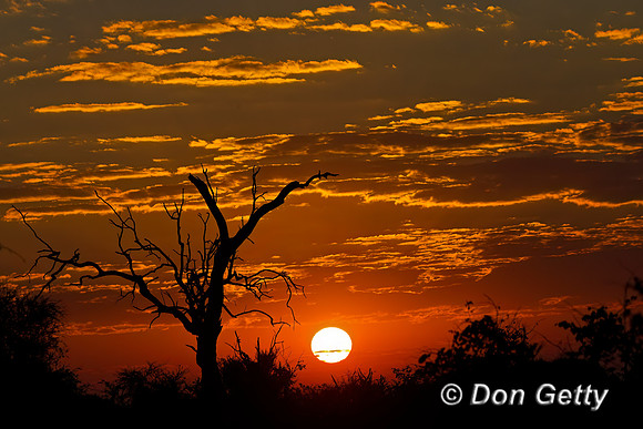 Savuti Marsh Area