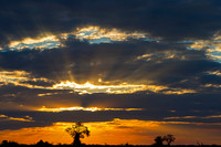 Savuti Marsh Area