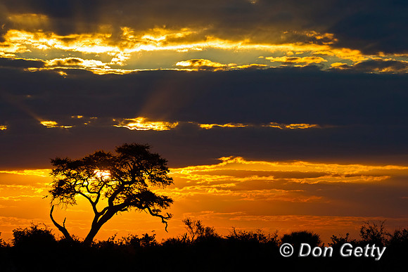 Savuti Marsh Area