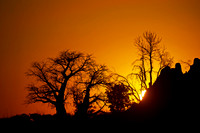 Savuti Marsh Area