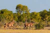 "Botswana