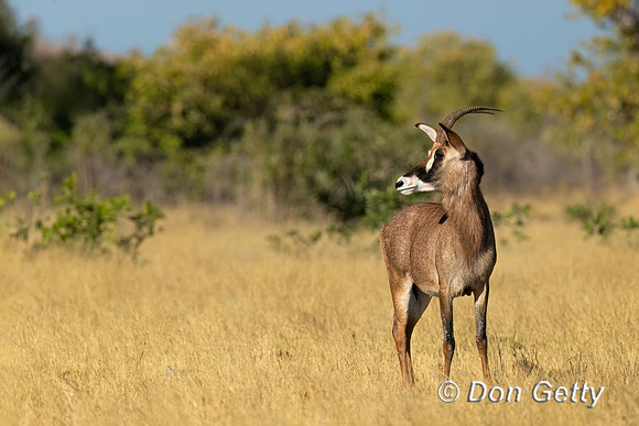 "Botswana
