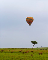 Hot air balloon