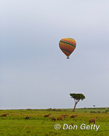 Hot air balloon
