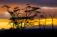 Sunset_A96I5143