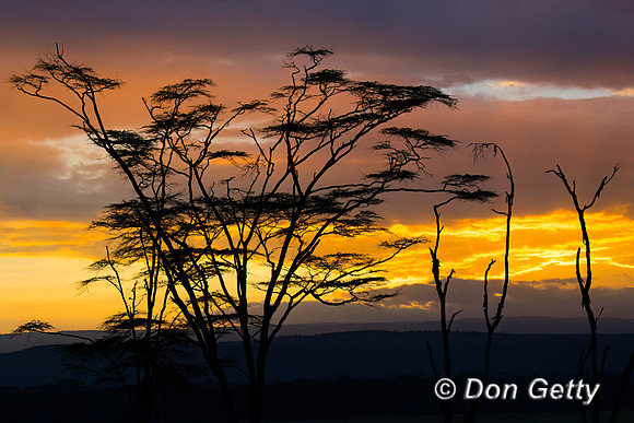 Sunset_A96I5143
