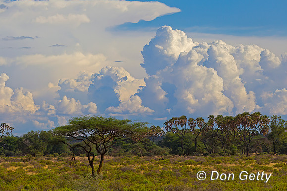 Samburu