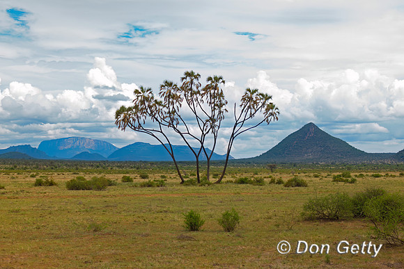 Samburu