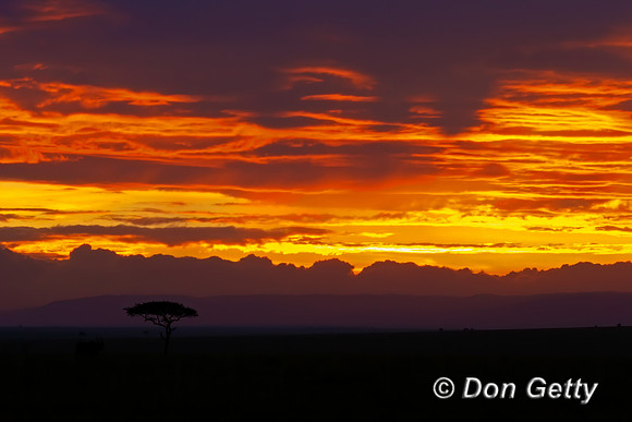 Masai Mara