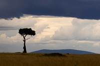 Masai Mara