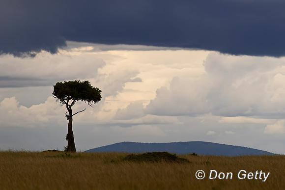 Masai Mara
