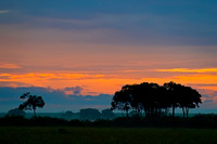 Masai Mara