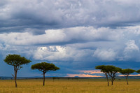 Masai Mara