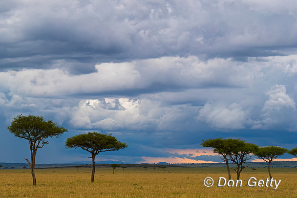 Masai Mara