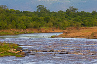 Mara River