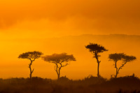 Kenya