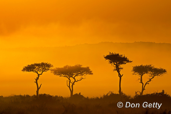 Masai Mara