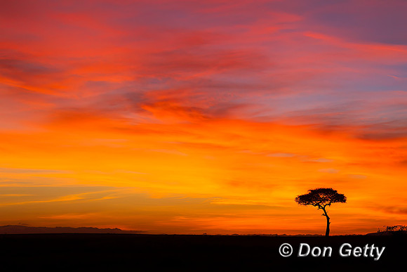Masai Mara