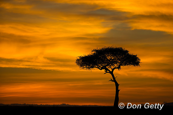 Masai Mara