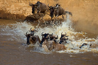 Kenya