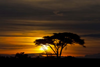 Tanzania