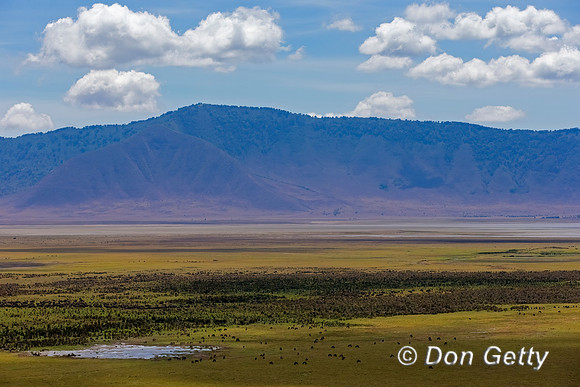 Ngorongoro