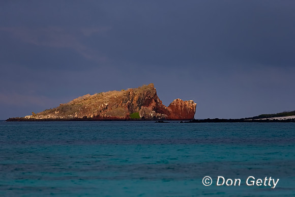 Galapagos_A45T2208